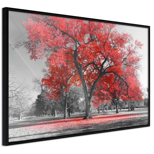 Poster - Red Tree 30x20 Slike
