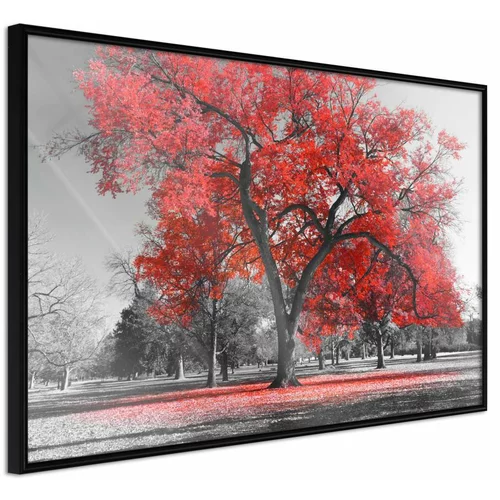  Poster - Red Tree 30x20