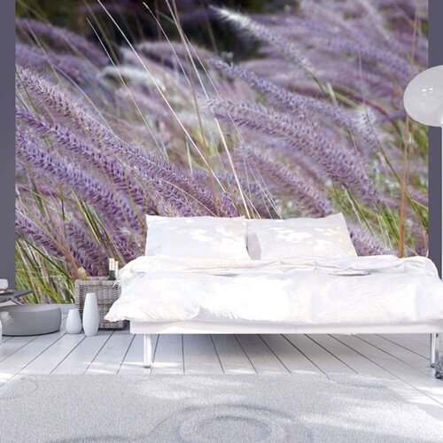  Tapeta - Green field and purple flowers 200x154 Slike