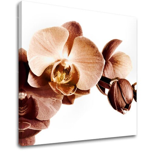  Slike na platnu cveće  (moderne slike na platnu) Cene