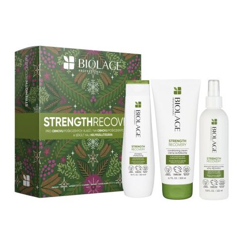 Biolage Strength Recovery &amp;scaron;ampon o&amp;scaron;tećenu kosu za ženske Slike