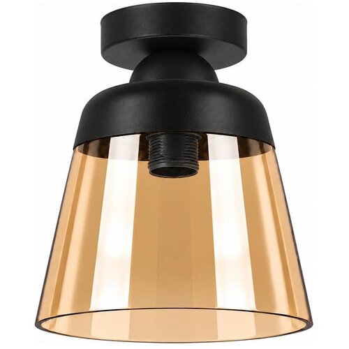  BRILAGI-LED Stropna svetiljka R GLASS 1xE27/60W/230V prečnik 15,5 cm crna/dimljeno bež Slike