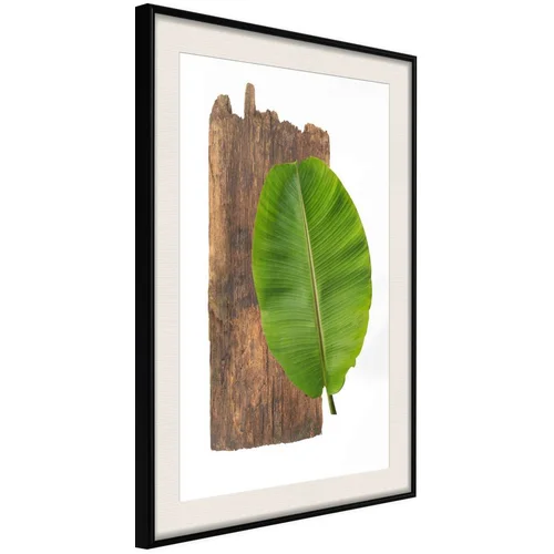  Poster - Forest Nature 40x60