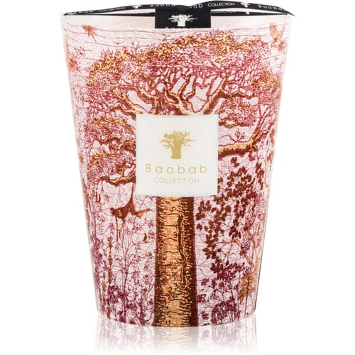 Baobab Collection Sacred Trees Woroba dišeča sveča 24 cm Cene