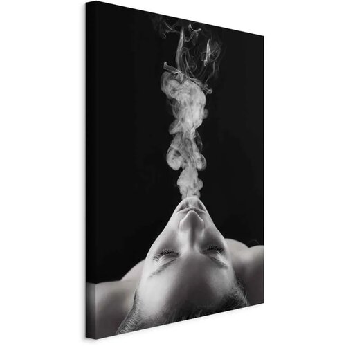  Slika - Smoke Cloud (1 Part) Vertical 40x60 Standard Cijene