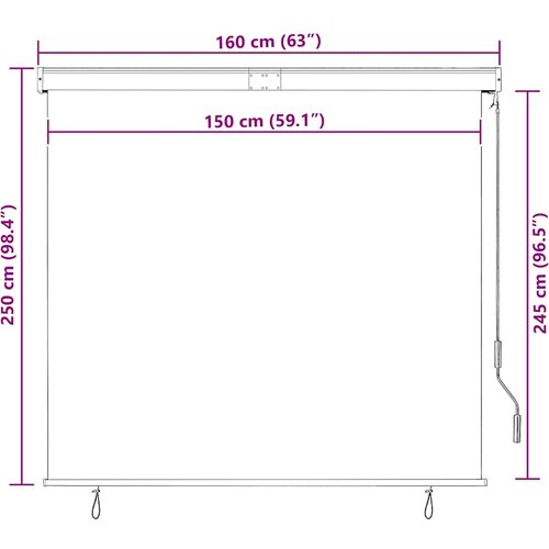  Vanjska roleta 160 x 250 cm plavo-bijela Slike