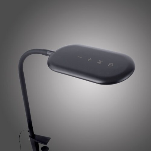PAUL NEUHAUS Leuchten Direkt 14404-18-LED Prigu&scaron;iva stona lampa sa stezaljkom KELLY LED/7W/230V Cene