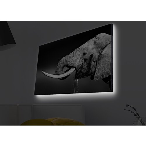 Opviq slika na platnu sa LED osvetljenjem 45x70cm Cene