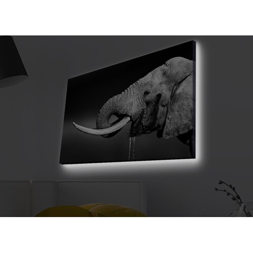 Opviq Slika na platnu sa LED osvetljenjem 45x70cm Cijene
