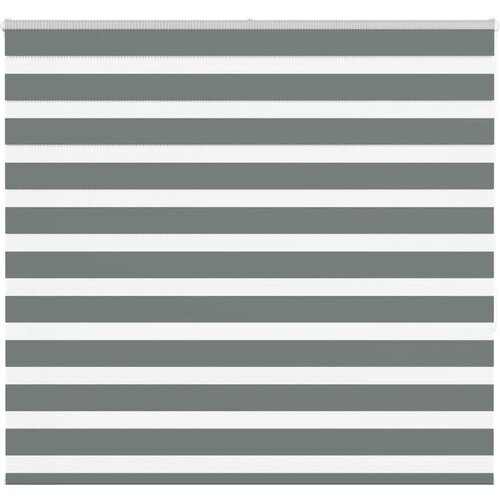 vidaXL zebra senčilo temno sivo 165x150 cm tkanina &scaron;irina 160,9 cm Cene