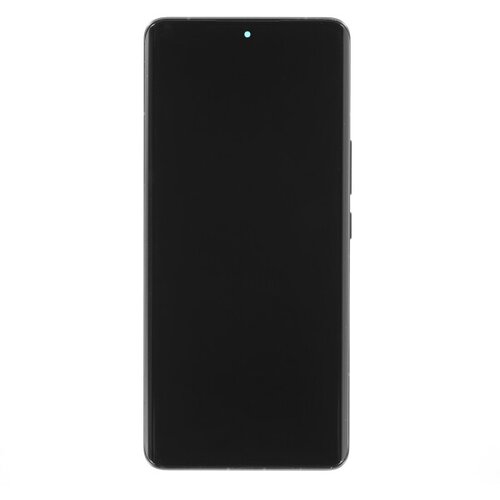 Realme (OEM) Steklo in LCD zaslon za Realme 10 Pro+, originalno (OEM), črno Cene