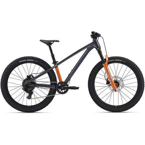 Bicikl GIANT STP 24-Giant Black Chrome - One Size Cijene