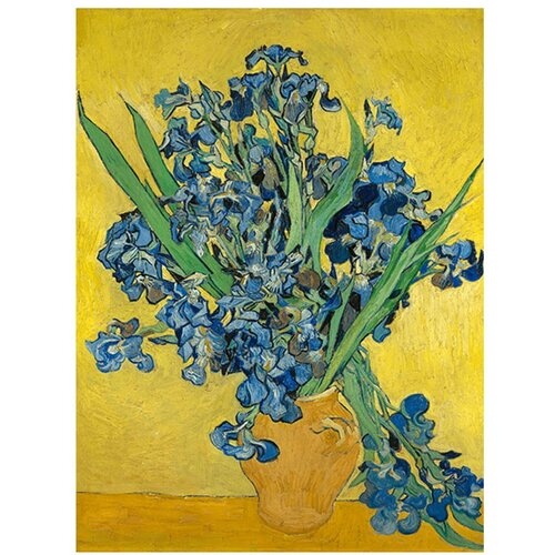 Fedkolor Reprodukcija slike slike Vincent van Gogh - Irises, 60 x 45 cm Slike