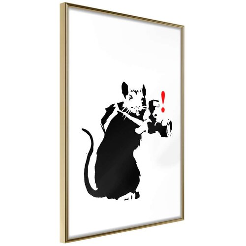  Poster - Banksy: Rat Photographer 30x45 Slike