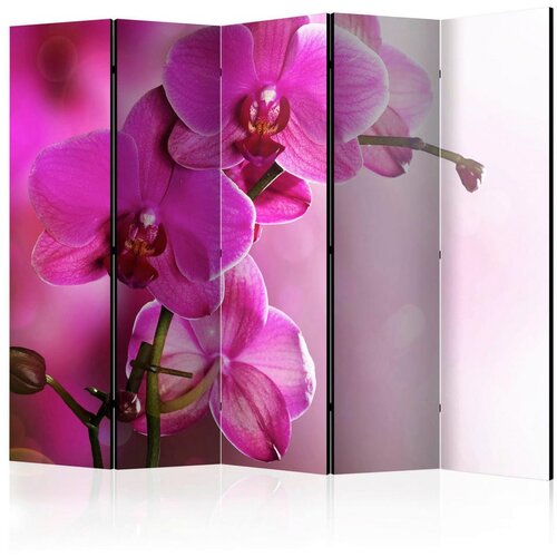 Artgeist Paravan Pink Orchid, 5-Delni, Dvostranski Cene