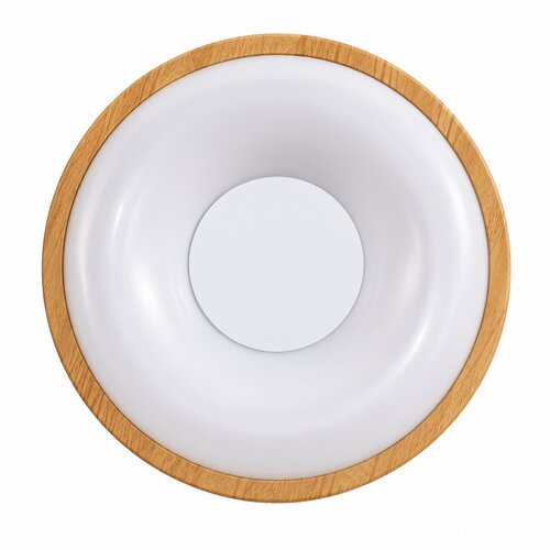  Led Plafonjera R-A47 18w Slike