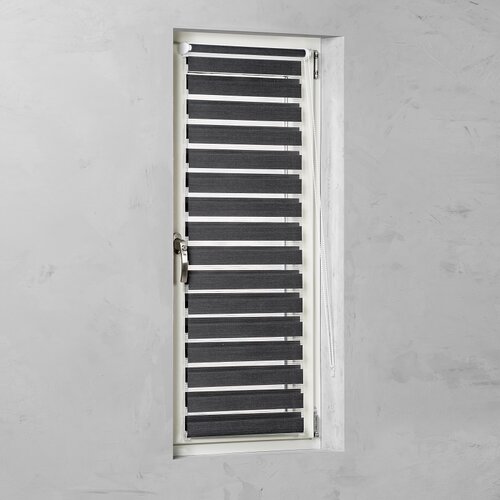 Rolo dvostruka rolo zavjesa Basic (Š x V: 60 x 150 cm, Crne boje) Cijene