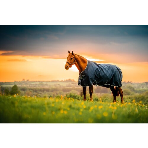 Horseware Ireland Pregrinjalo Amigo Ripstop 900D Fleece Lined Turnout 50 g, Witney Navy - 145 cm Cene