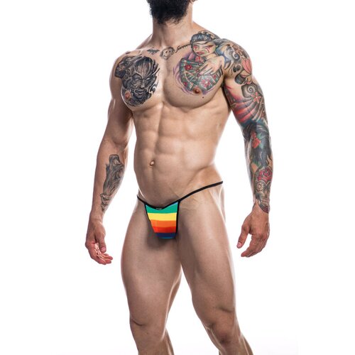 Penthouse Cut4Men - Briefkini, (21266992) Cene