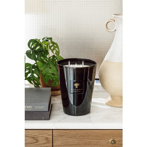 Baobab Les Prestigieuses Encre de Chine di&amp;scaron;eča sveča 24 cm Slike