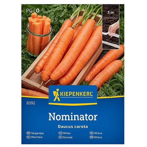 KIEPENKERL Zelenjavna semena Korenje Nominator F1 (Daucus carota subsp. sativus, Čas žetve: Junij) Cene