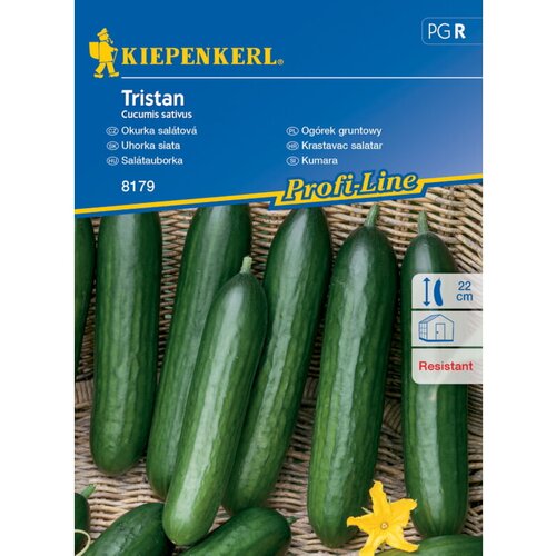 KIEPENKERL Sjeme povrća krastavac Tristan (Cucumis sativus, Berba: Srpanj - Rujan) Slike