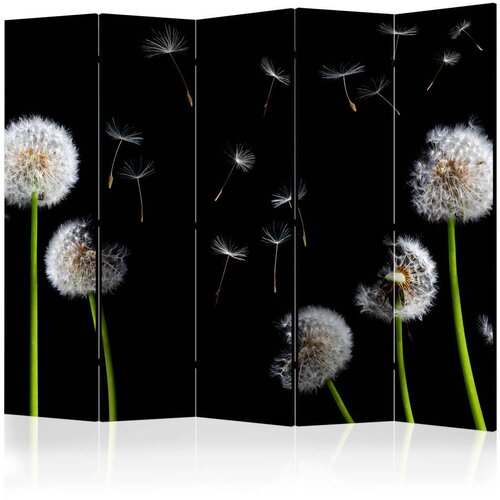  Paravan u 5 dijelova - Dandelions in the wind II [Room Dividers] 225x172 Slike