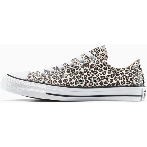 Converse Ženske patike chuck taylor all star leopard Slike