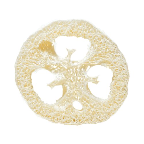 Rosenrot Lufa-disk Slike