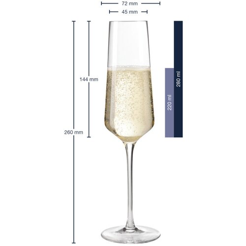 Leonardo čaša za šampanjac 280ml PUCCINI 069550 Cijene