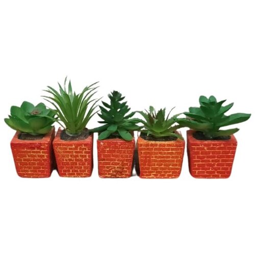 Dekordom cvet u saksiji - succulent cube 654 - N44 Slike