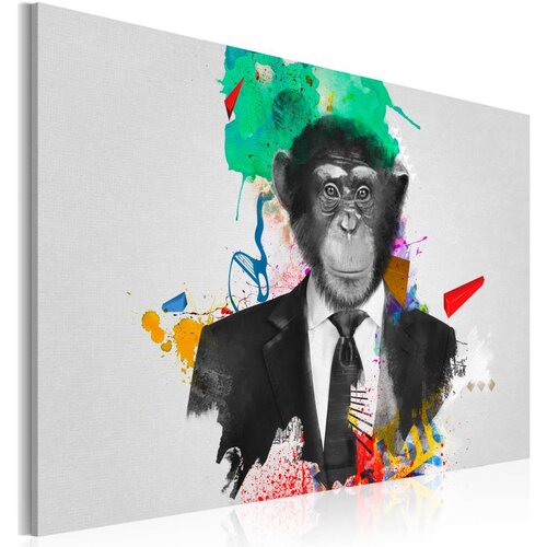  Slika - Mr Monkey 120x80 Slike