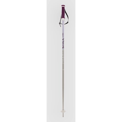 Völkl Phantastick W Poles 2025 Smucarske palice silver Cene