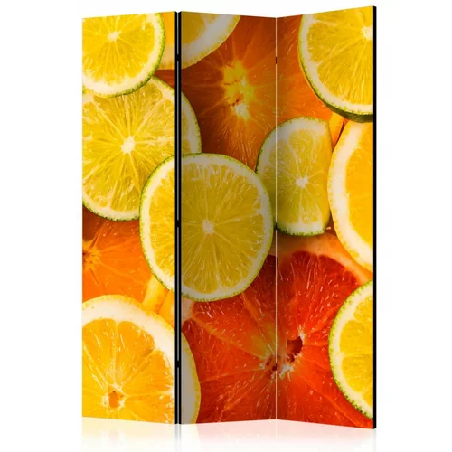 Paravan u 3 dijela - Citrus fruits [Room Dividers] 135x172