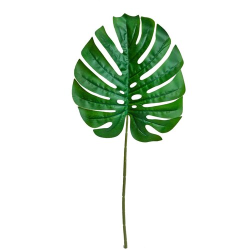  Rezano cvijeće grana monstera svjetlo zelena 72 cm Cene