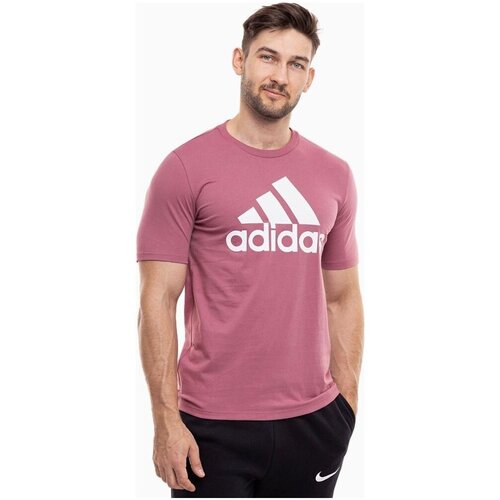 Adidas IX0137 sarena Cijene