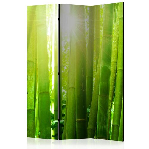  Paravan u 3 dijela - Sun and bamboo [Room Dividers] 135x172 Slike