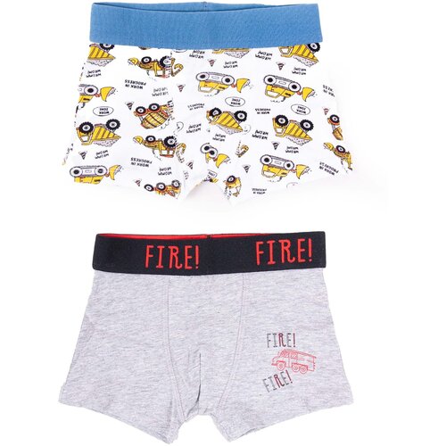 Yoclub Kids&amp;#039;s Cotton Boys&amp;#039; Boxer Briefs Underwear 2-pack BMB-0008C-AA30-001 Slike