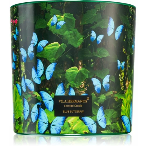 Vila Hermanos Jungletopia Blue Butterfly mirisna svijeća 620 g