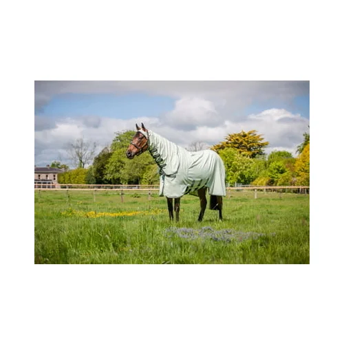 Horseware Ireland Pregrinjalo Rambo Hoody green/sage - 155 cm