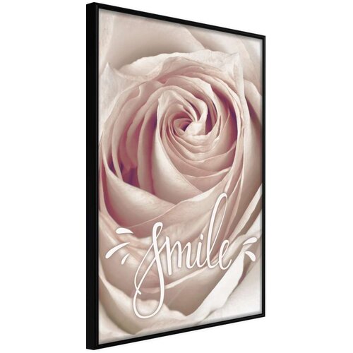 Poster - Rose with a Message 20x30 Cijene