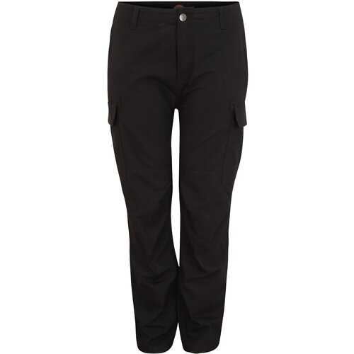 Dickies Cargo hlače crna Cijene