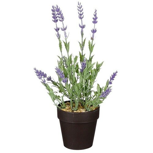  Umjetna biljka Lavanda (10 x 24 cm, Lila, Plastika) Cijene
