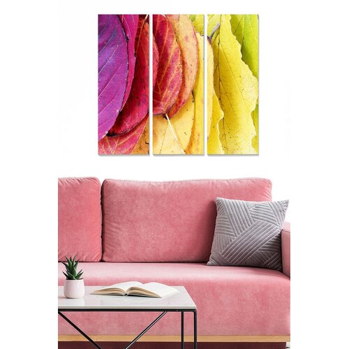 Wallity Set slika MDF7847305, 3 dijela Cene