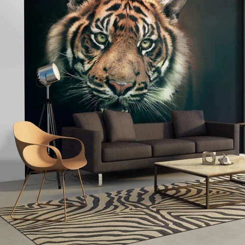  tapeta - Bengal Tiger 400x309