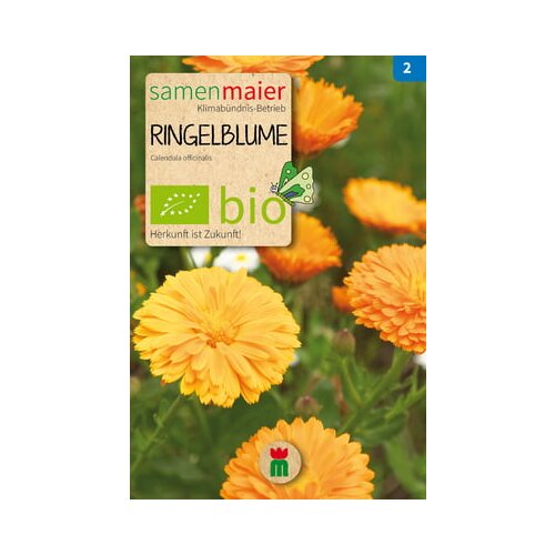 Samen Maier BIO ognjič Cene