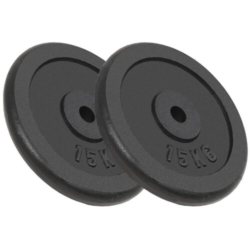 vidaXL Uteži 2 kosa 2x15 kg lito železo, (20776590) Cene