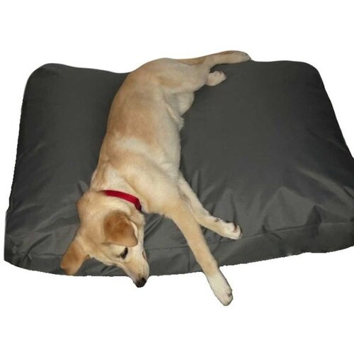 Spot Pet vodoodbojni du&scaron;ek 100x70 /23 cm -XL Cene