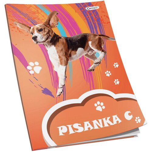  OBRAZAC &amp;Scaron;KOLSKI PISANKA &amp;quot;C&amp;quot; ZA 2 I 3RAZRED PREMIUM CONNECT GIRL Slike