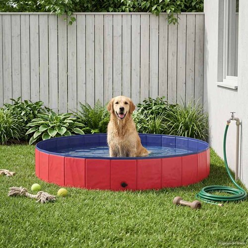  Bazen za pse Crvena &Oslash;200 x 30 cm Debeli PVC Cijene